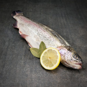 Zalmforel - VisDirect